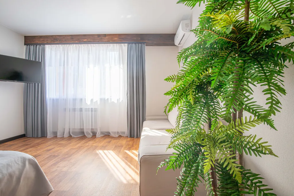 Апартаменты с красивым видом