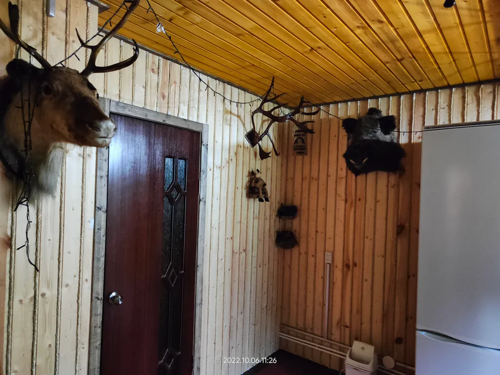 Коттедж Уютный теплый дом — Луга