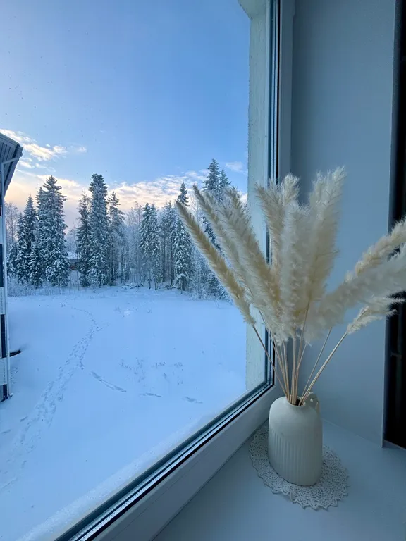 Апартаменты в карельском лесу