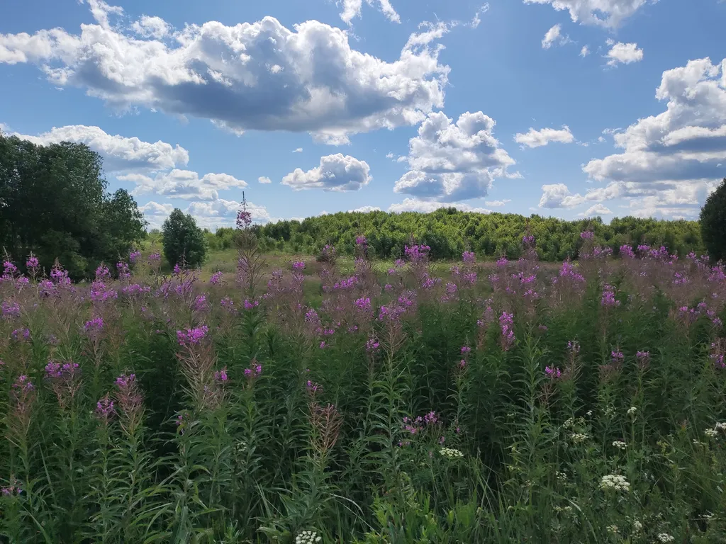 Дом дуплекс в деревне рядом с турбазой Алоль
