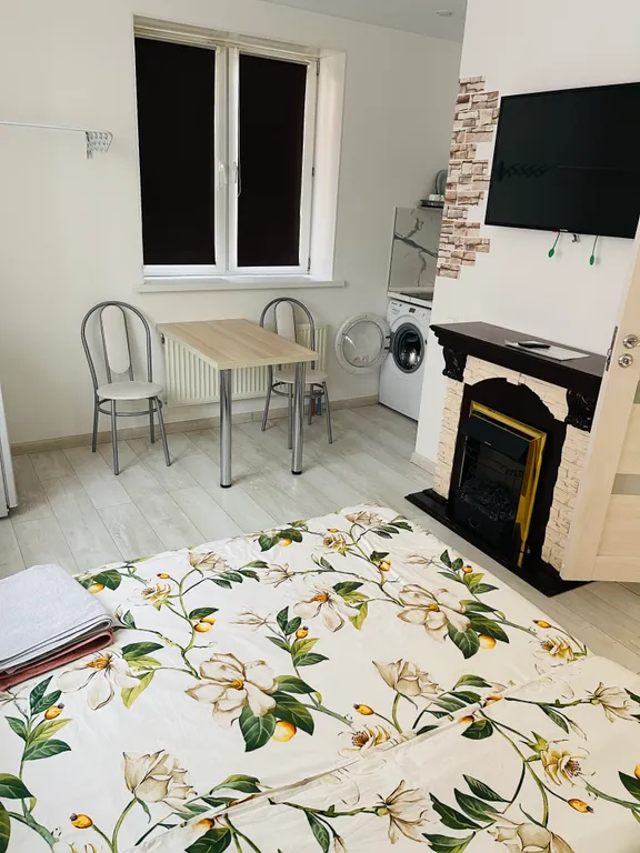 Комфортабельные апартаменты-студия