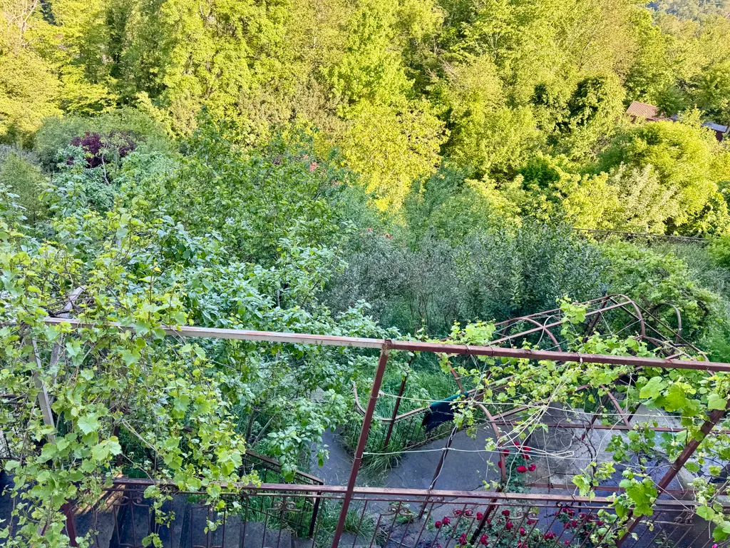 3-этажный дом с садом недалеко от моря