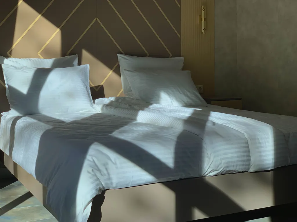 Улучшенные номера Meraki с панорамным видом на сосновый бор