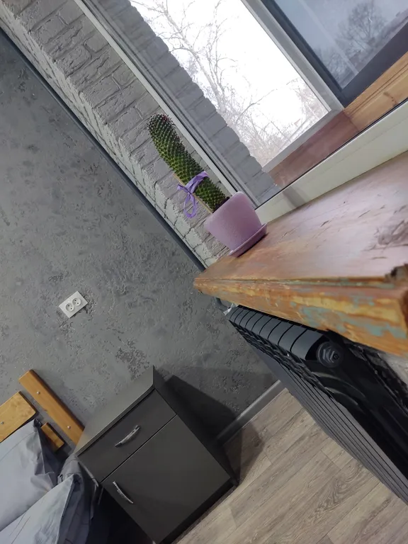 Двухкомнатная Революции