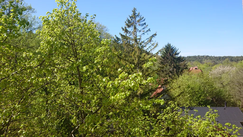 Прекрасная квартира на берегу Балтийского моря