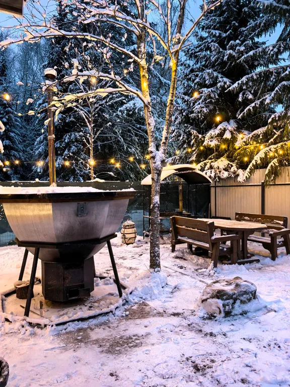 Уютный домик у леса с чаном