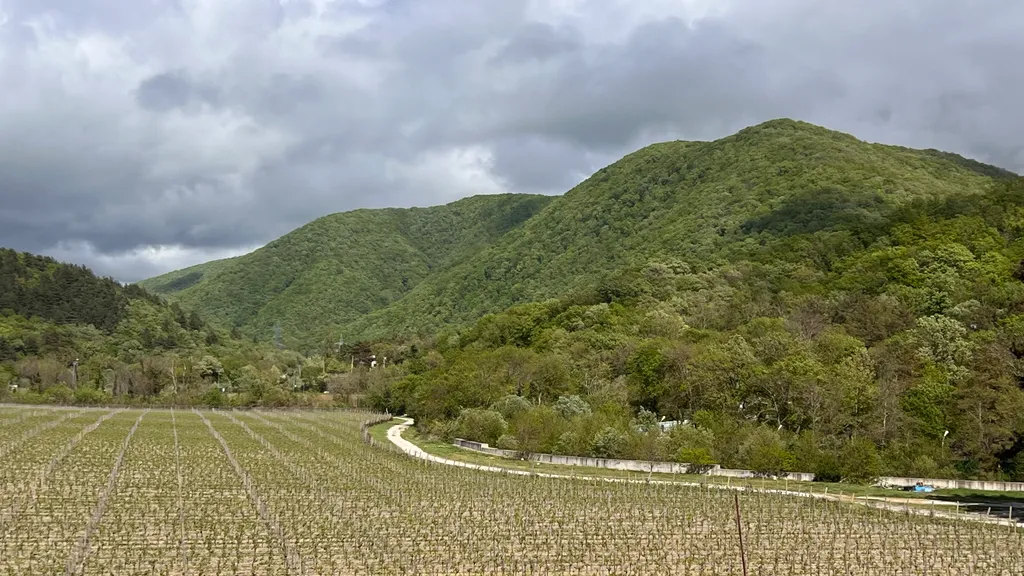 Квартира Апартаменты в Скала Парус — Прасковеевка