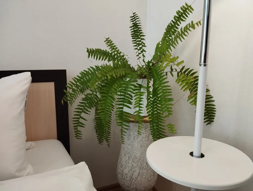 Светлая квартира в самом центре у площади Победы