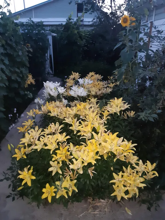 Трехместная комната с отдельным входом