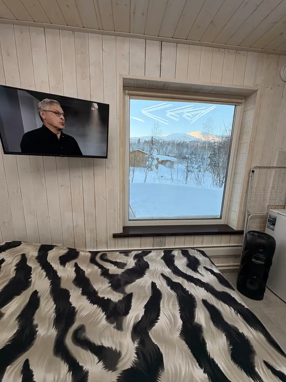 Дом с видом на горы в елочках