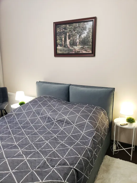 Квартира Квартира Уютная евродвушка у ледовой — Новоселье