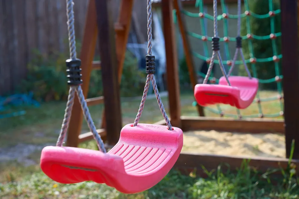 Гуси Лебеди