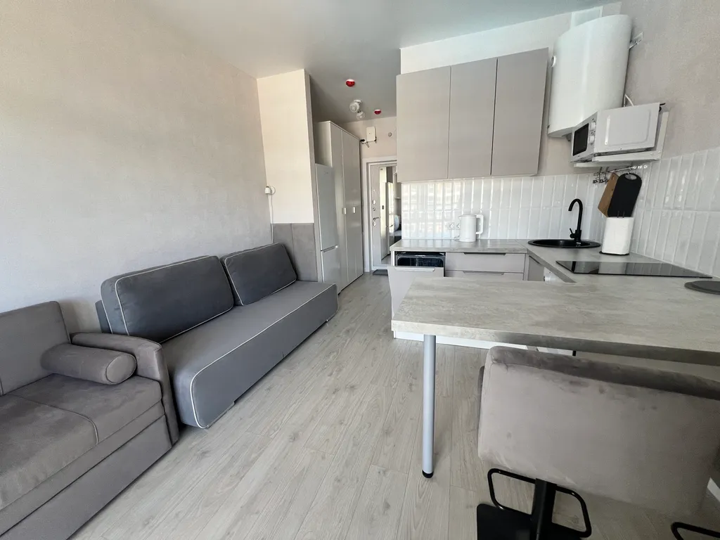 Видовая студия с посудомоечной машиной и духовкой