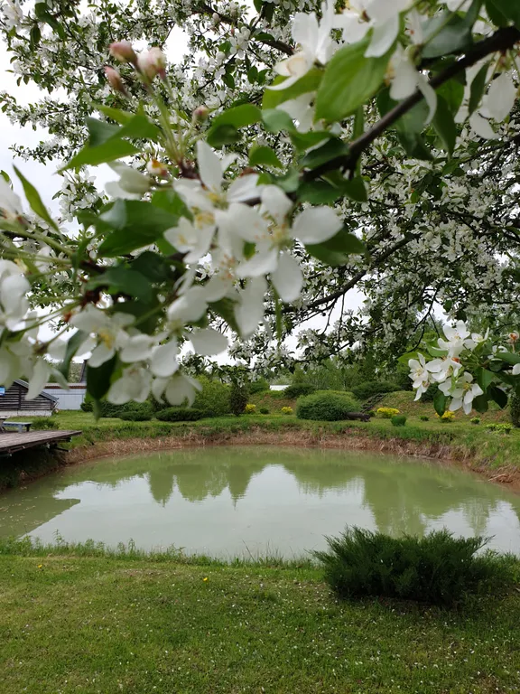 Дом с 4 спальнями