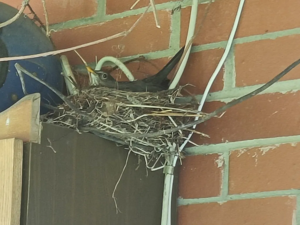 Апартаменты в коттедже на берегу озера