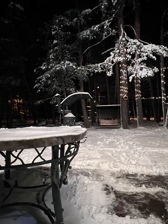 Шале территория