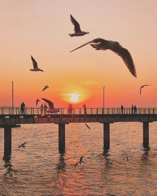 Уютная квартира в Зеленоградске