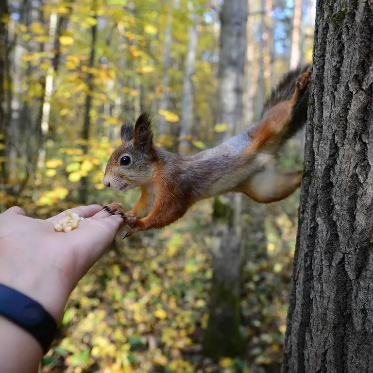 Квартира-студия в районе Пермь 2