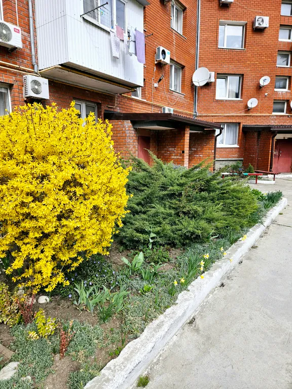 Большая комфортная квартира у моря