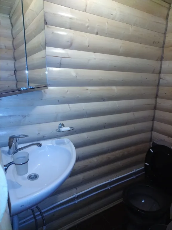 Домики в лесу на берегу реки Волге