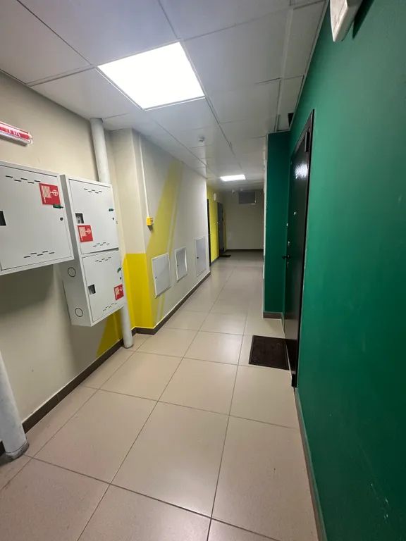 Квартира Квартира Студия в новом доме в лесном массиве, впервые после ремонта — Владивосток