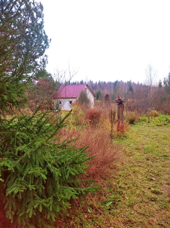 Уютный гостевой дом в поместье Большое небо в экопоселении