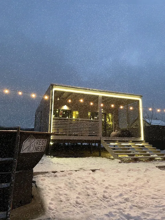 Коттедж Уютный дом с панорамным видом на лес — аренда посуточно в Дмитров