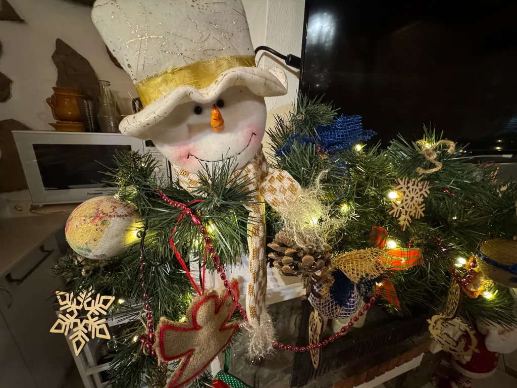 Дом холостяка