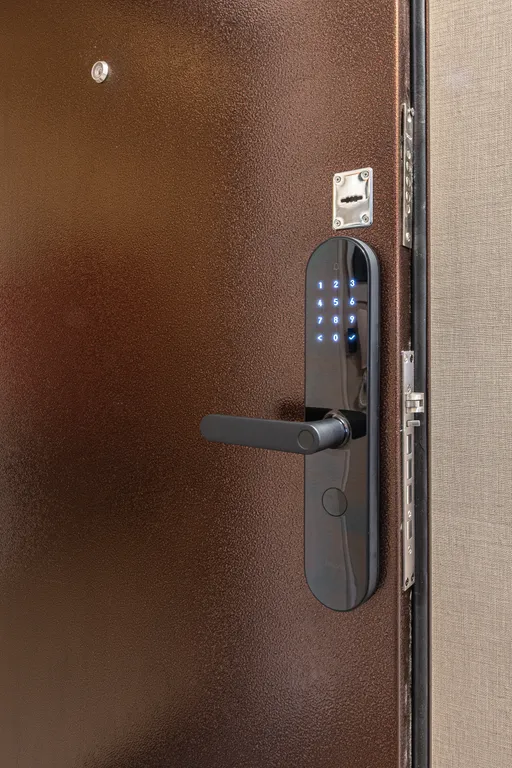 Квартира в Академическом cat home