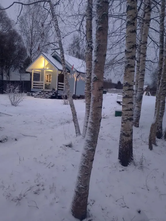 Коттедж Домик на берегу — аренда посуточно в Приозерск