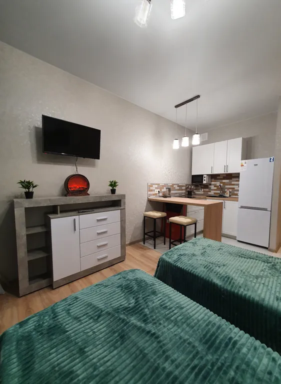 Квартира-студия с потрясающим видом на Волгу и лес