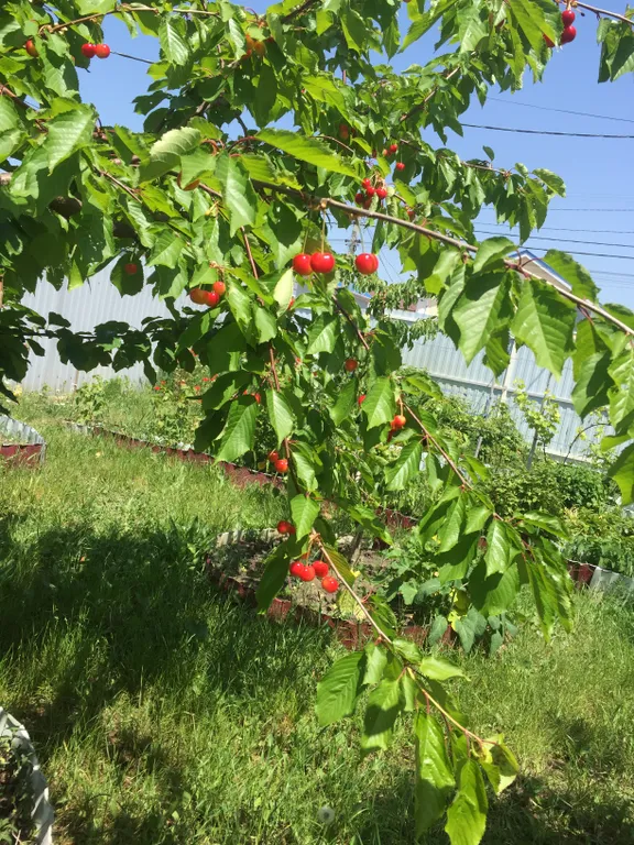 Семейный 3-х комнатный номер в тихом районе