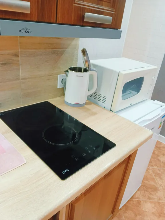 Уютная студия с видом на сосновый бор