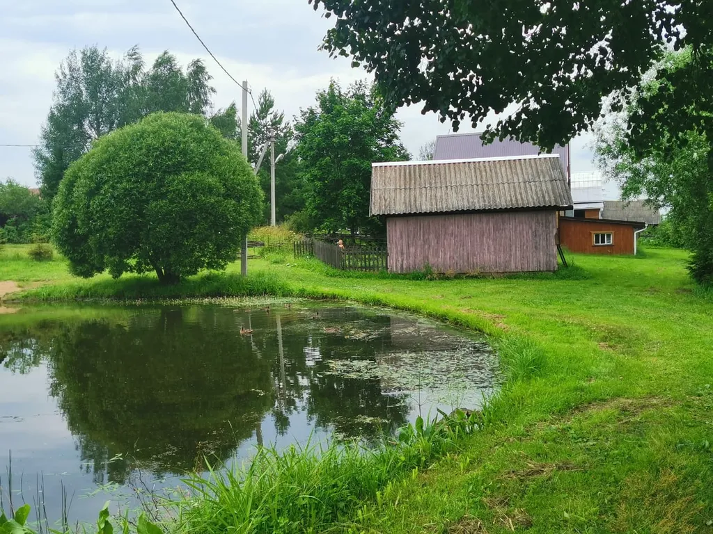 Крестьянская усадьба в Плотихино