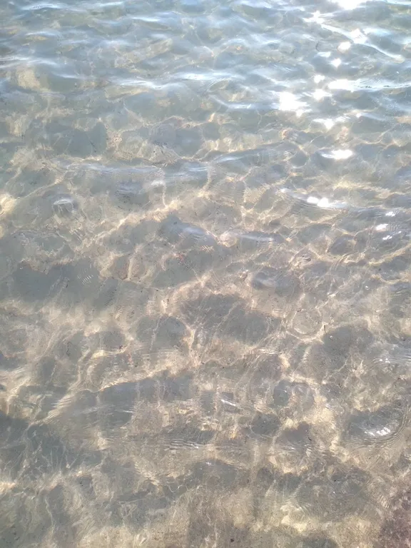 Отдельные апартаменты рядом с морем