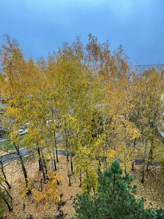 Квартира Уютная 1-комнатная квартира в оживленном районе города — Казань