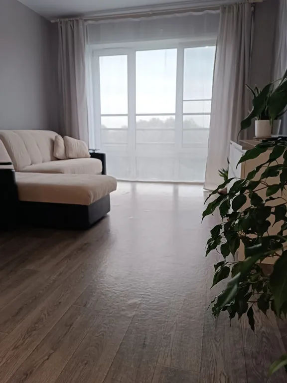 Студия Алые паруса