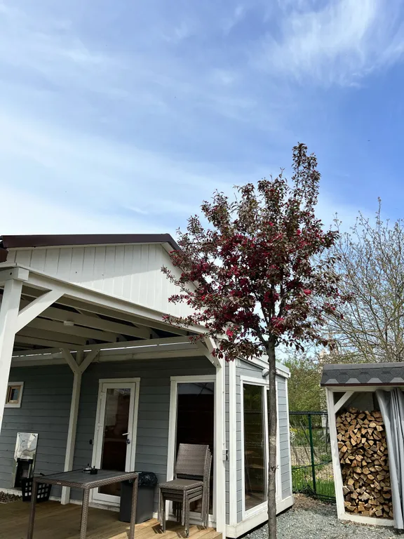 Уютный коттедж с баней, бассейном и купелью в 40 км от Краснодара