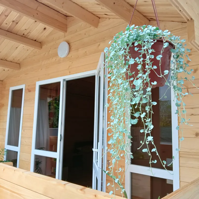 Семейный домик