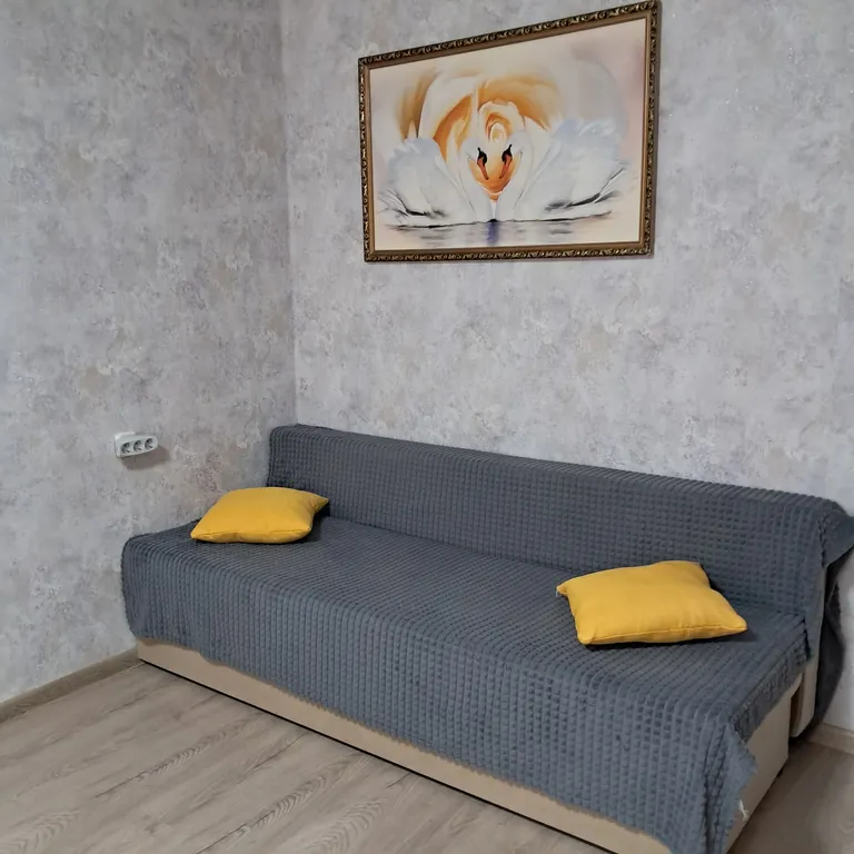 Однокомнатная квартира в центре города