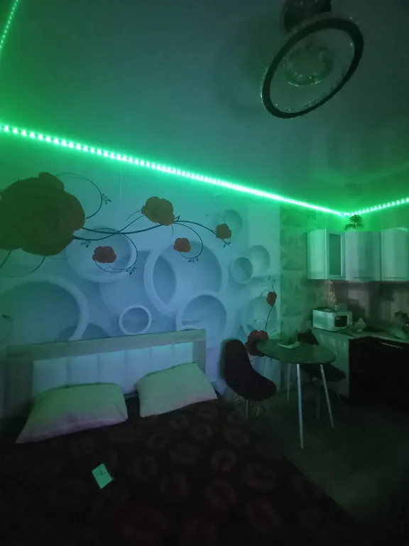 1-комнатная Квартира — аренда посуточно в Пермь