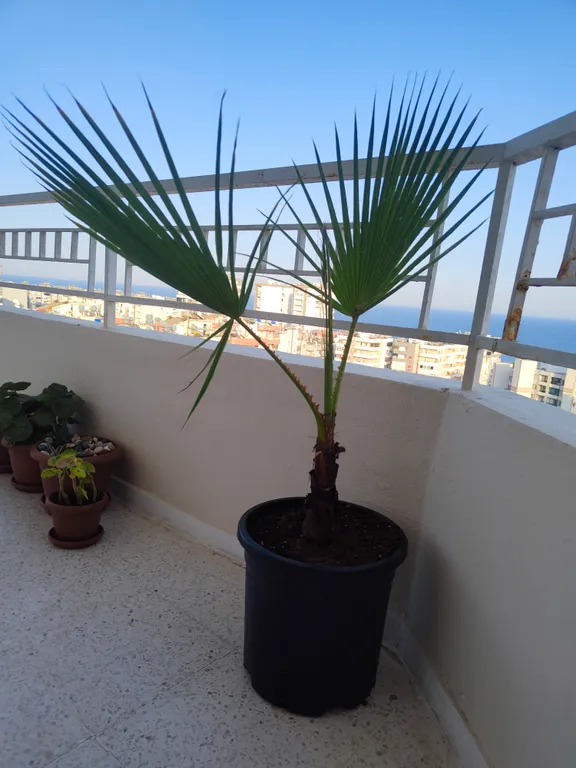 Квартира с видом на море и горы из всех окон