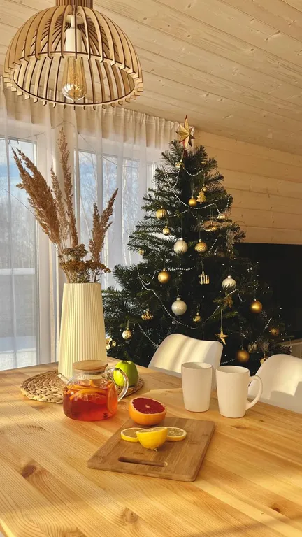 Уютный барнхаус в скандинавском стиле у горнолыжного курорта Сорочаны