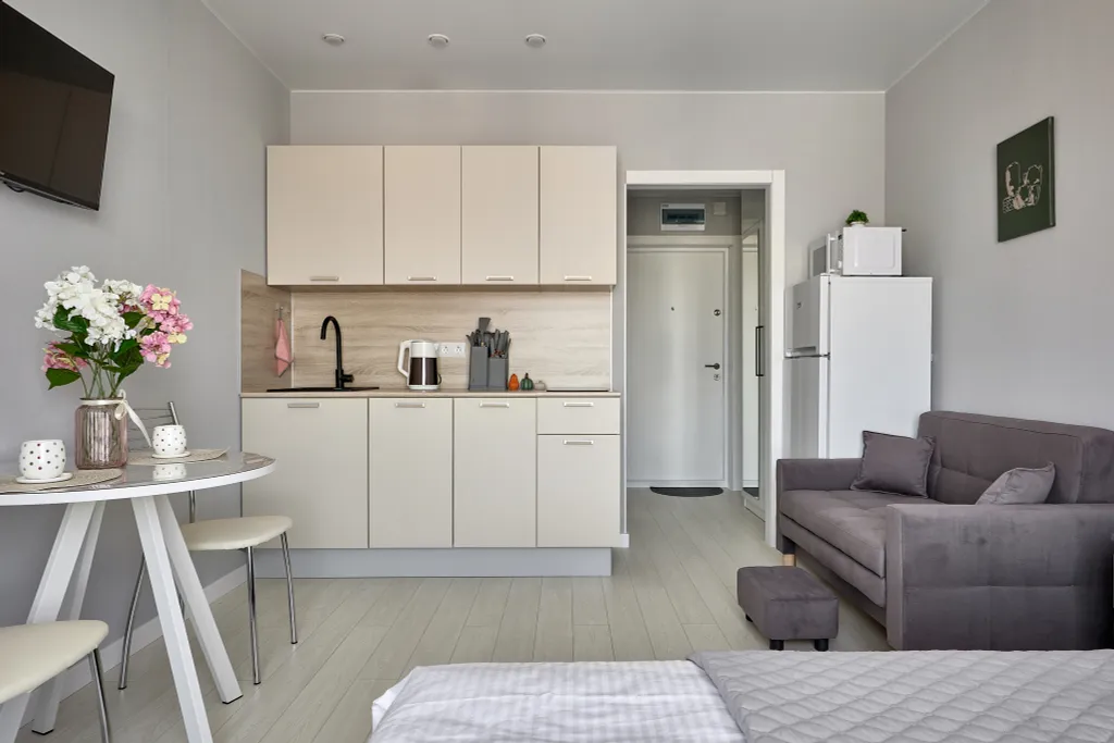 Студия рядом с аэропортом внуково