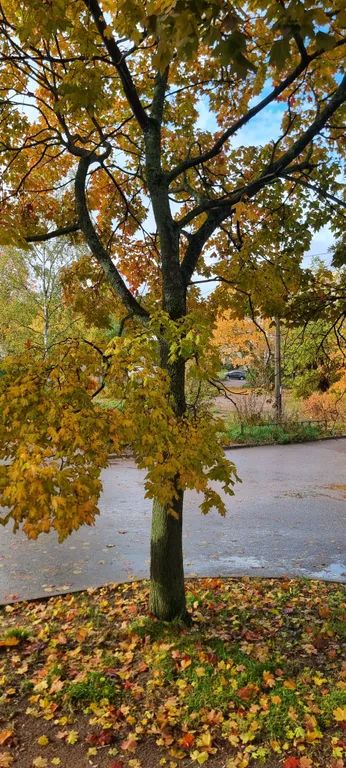 Уютная чистая квартирка с ремонтом