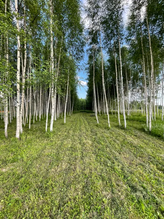 Загородный дом в тихом месте