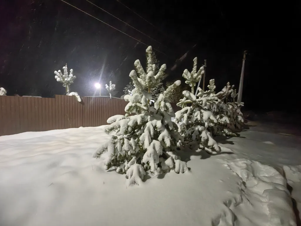 Коттедж Гостевой дом Bellus — Бельское