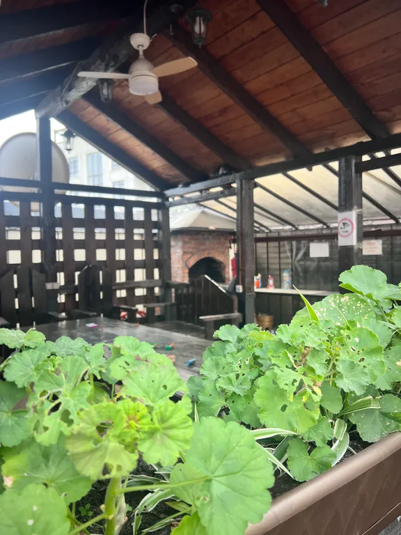 Квартира Квартира Уютная  евро двушка с видом на Сочи Парк — Сириус