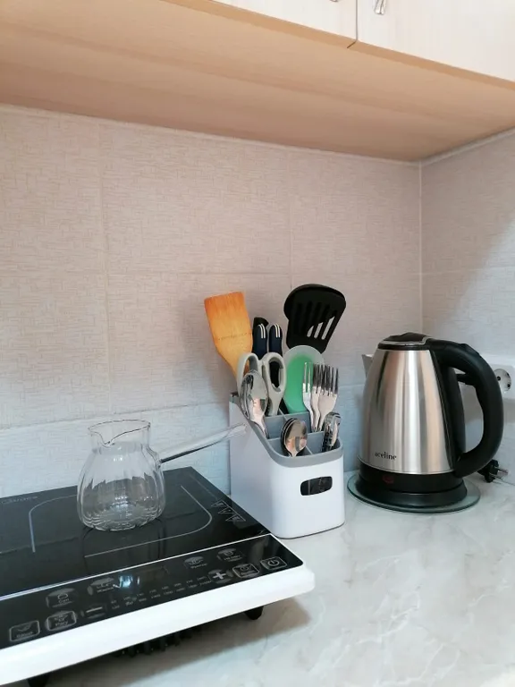 Квартира-студия Уютное гнездышко