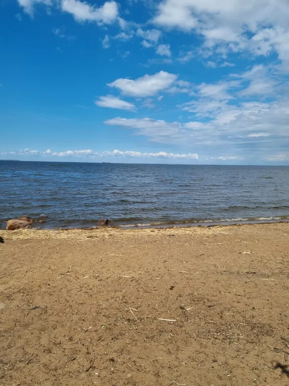 Уютная дизайнерская квартира на берегу Финского залива